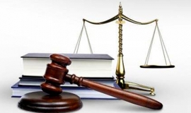 Assistenza legale gratuita per i docenti presenti al Senato il 25 giugno
