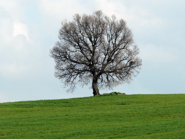 La Felicità come nuovo paradigma di sviluppo