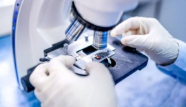 Il nostro contributo da oggi online sulla rivista scientifica Analysis