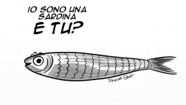 IL CASO “SARDINE” E LA BOCCIATURA SU CUI INTERVIENE IL GIUDICE: PERCHÈ È SEMPRE LA LEGGE LA GIUSTA BUSSOLA A CUI AFFIDARSI.